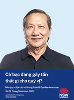 A4 Poster Vietnamese
